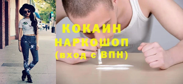 сатива Балахна