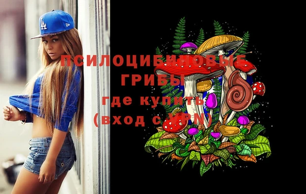 сатива Балахна