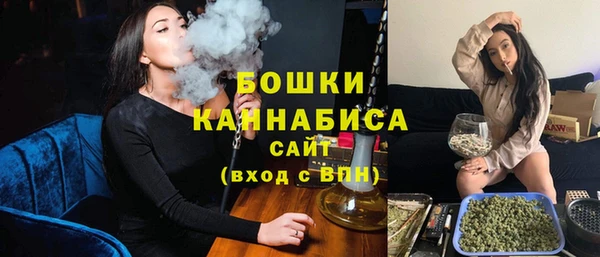 шишки Баксан