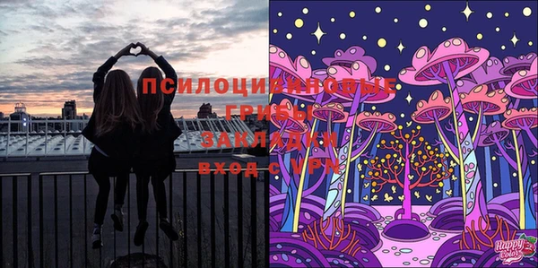 а пвп мука Балабаново