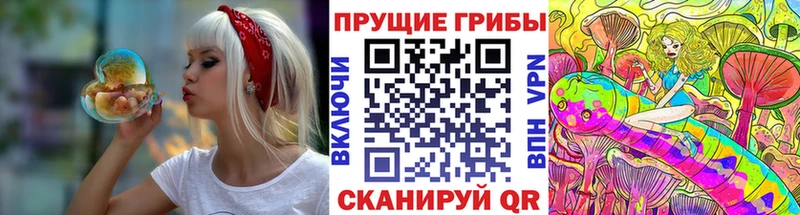 Псилоцибиновые грибы прущие грибы  Зима 